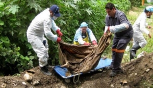 Encuentran 69 cuerpos en fosas clandestinas de Colima