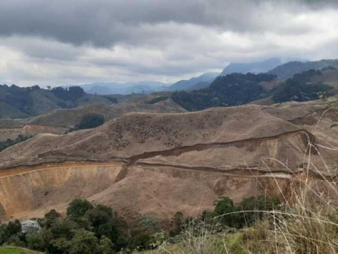 Deforestacion y esclavitud, el legado de las aguacateras en Mexico