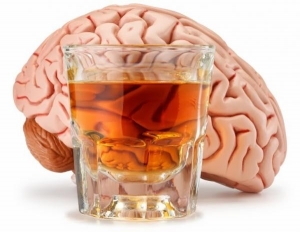 Lo que el consumo de alcohol le hace a tu cerebro