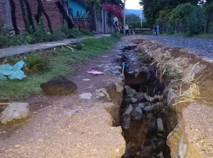 Falla tectónica deja fisura en calles y casas el municipio de Zacoalco