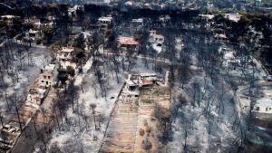 Griego no descarta que los incendios fueran provocados