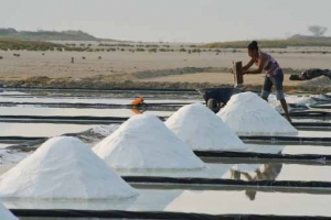 La Semarnat niega autorización de obras a productores de sal en Manzanillo