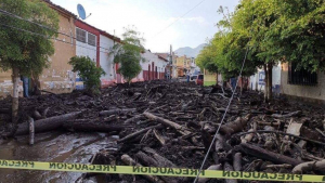 Preparan denuncia por cambio de uso de suelo de bosque a cultivo al sur de Jalisco