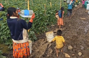 Niños indigenas esclavos de Colima polarizan CNDH y gobierno